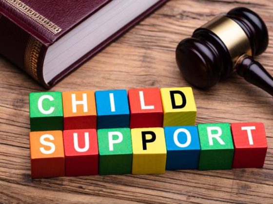 Navigating Life’s Legal Seas: Your Compass to Family Law Lawyers Near Me