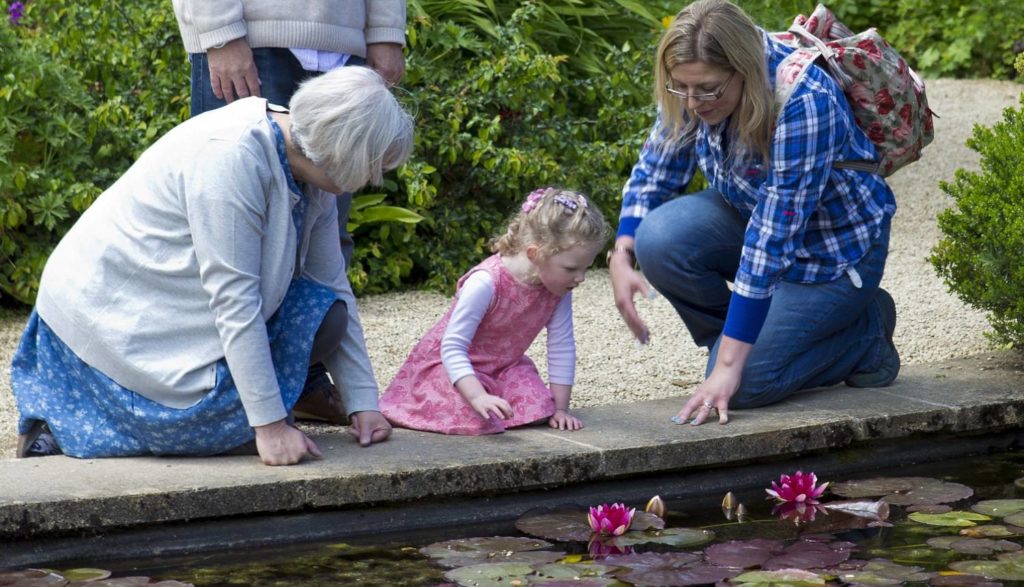 Unveiling the Best Family Law Attorney: A Guide to Excellence