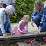 best family law attorney