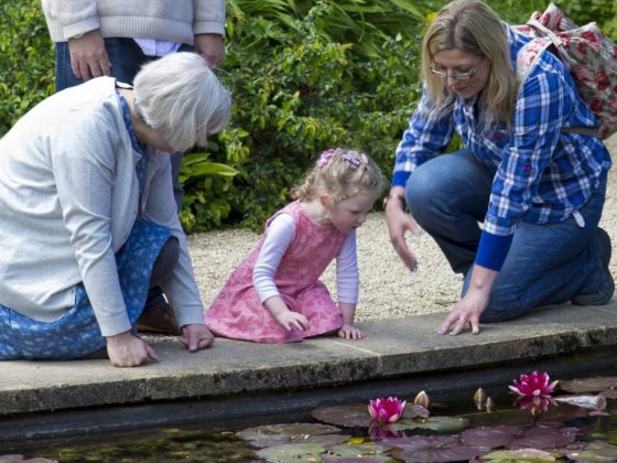 Unveiling the Best Family Law Attorney: A Guide to Excellence